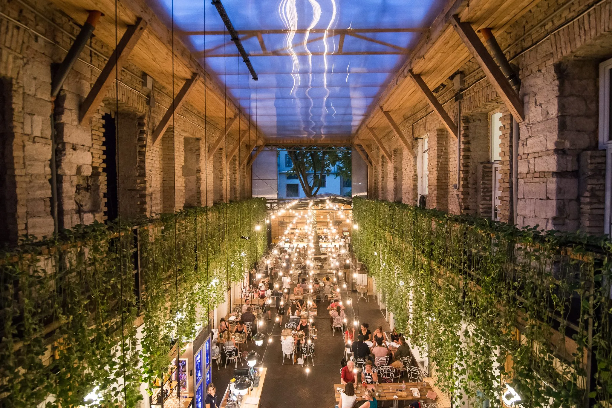 Mazel Tov ruin bar- the soaring glass ceiling, hanging vines and fairy lights of Budapest's chicest ruin bar