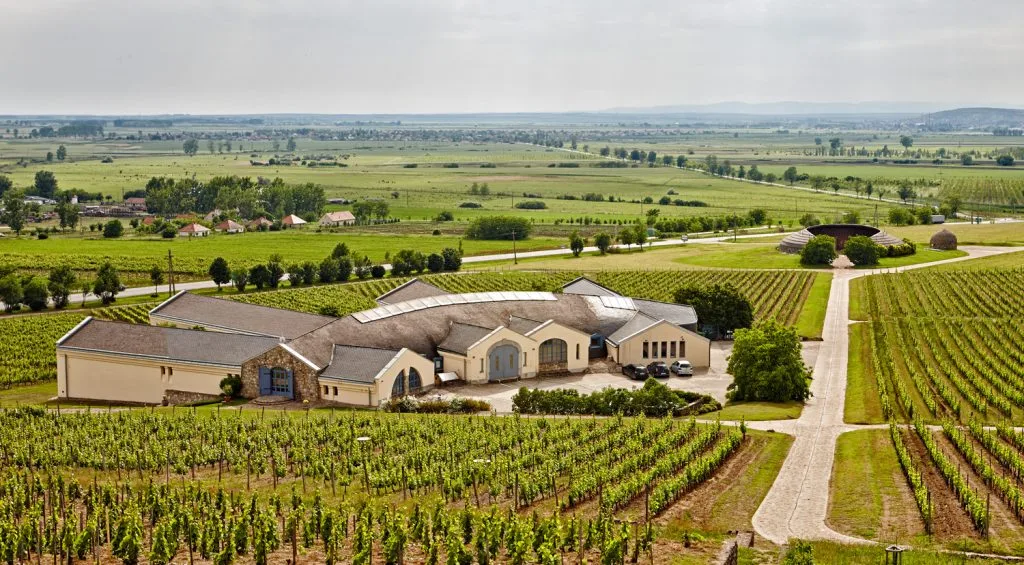 Disznókő winery- striking modern architecture set among the Tokaj hillside vineyards