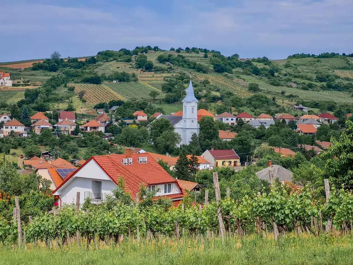 Mád village- the quiet stone-paved main square lined with wine cellars and producers