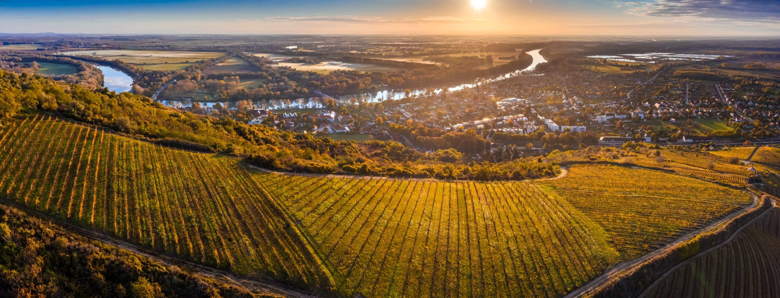 Liquid Gold & Volcanic Soil: The Ultimate Day Trip to Tokaj